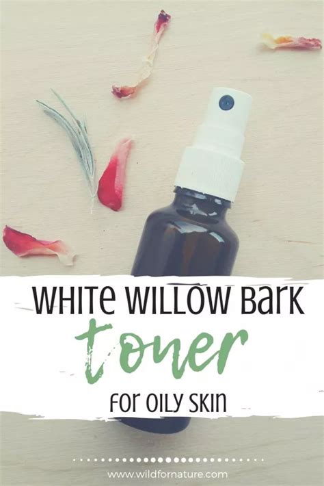 A simple DIY: Homemade white willow bark anti-acne toner – Wild for Nature