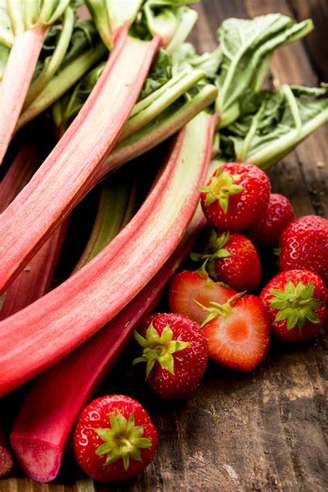 Rhubarb Companion Plants: A Very Detailed Guide