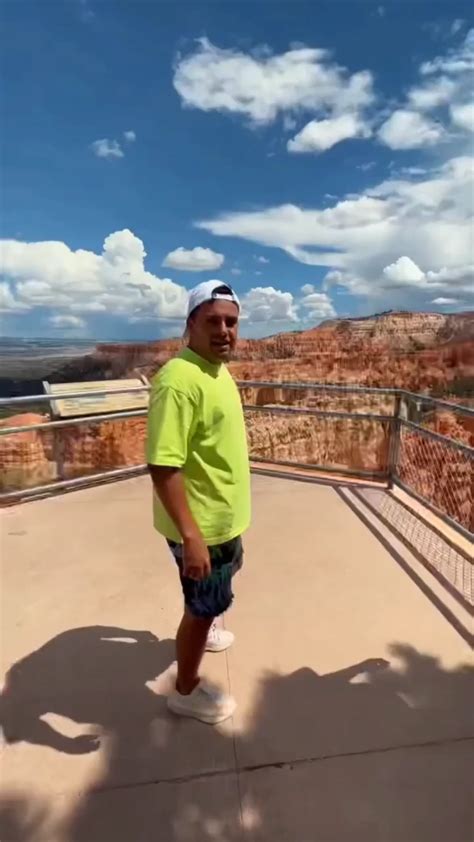 Ignoring the signals : r/watchpeoplesurvive