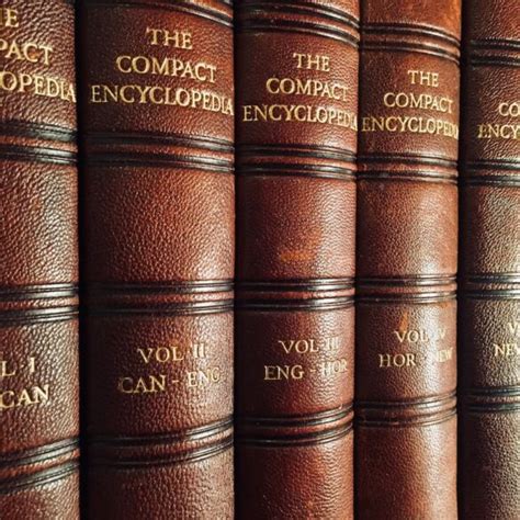 Understanding the Legal Ramifications of [Hypothetical Privacy Policy Event] - npzfabn