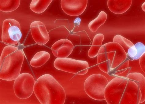 O Que Causa Plaquetas Altas - Plaquetas Altas : Causas, Síntomas Y Tratamiento – RRWWPZ