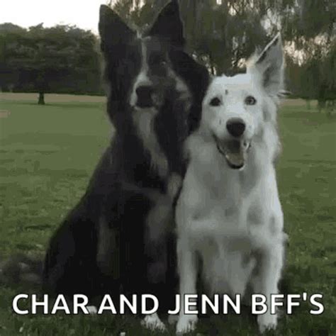 Dog Hug GIF - Dog Hug Bff - Discover & Share GIFs