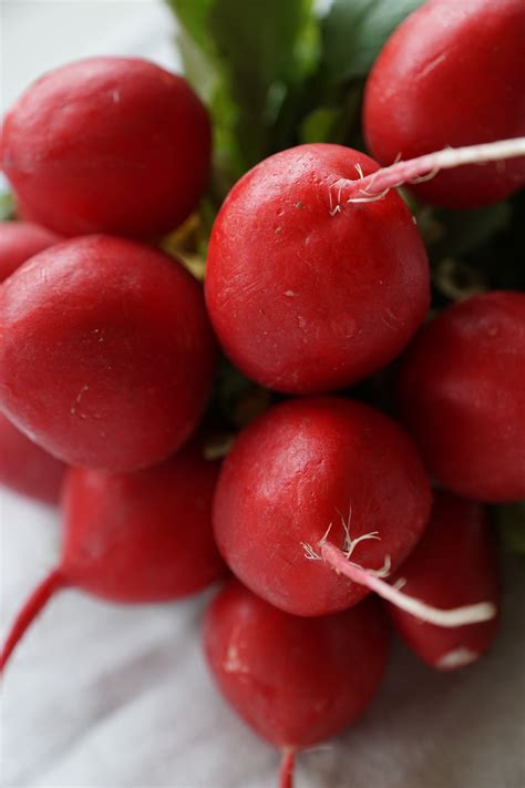 radish vegetable or fruit 9