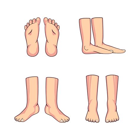 cartoon illustration foot isolated white backgound 8289392 Vector Art