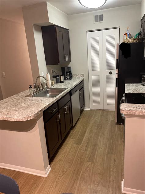 Lost sight of a Wasp in my kitchen. : r/WaspHating