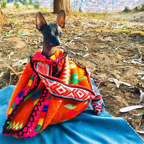 419 best Cusco images on Pholder | PERU, Earth Porn and Hiking
