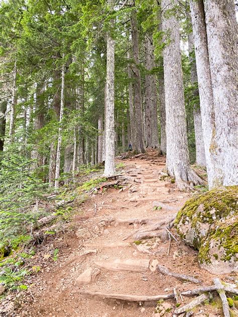 Mount Ellinor Trail - Olivia Michelle