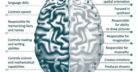 A Stroke in Time: Left Brain, Right Brain and Everything in Between