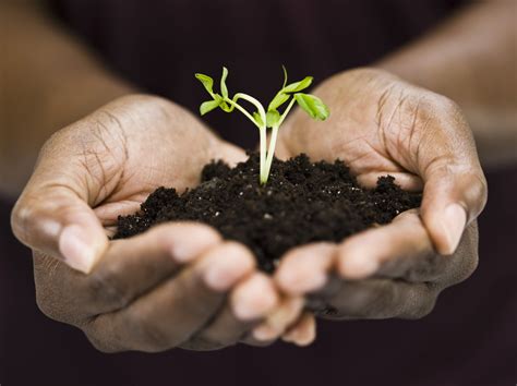 Knee Relief Without Surgery | Piedmont Physical Medicine & Rehabilitation