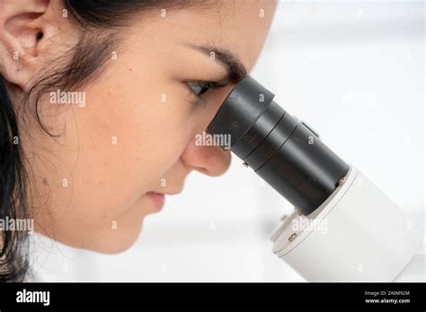 scientist    microscope stock photo alamy