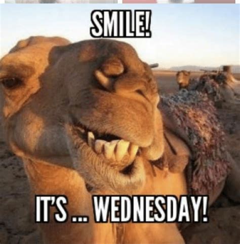 Unleash The Power Of Humor Wednesday: Discoveries And Insights Await