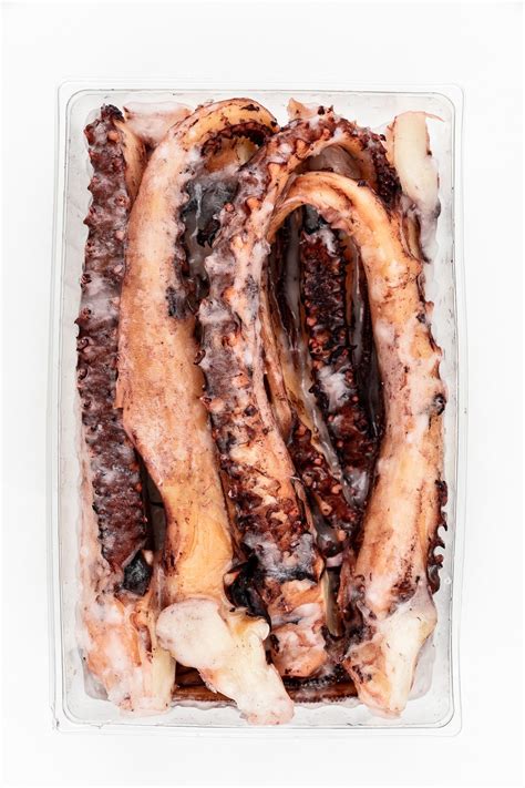 Giant Squid Tentacles