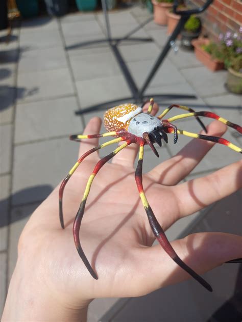 Life-size Golden Orb Weaver, Polymer clay and wire, Me, 2021 : r/Art