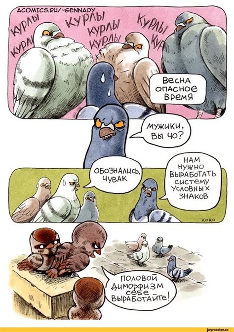 #pigeon #humour #голубь #геннадий #комикс #смехуечки | Lustig