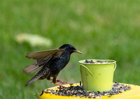 Wife+Bucket Photos, Download The BEST Free Wife+Bucket Stock Photos