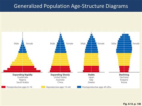 age structure diagram exatininfo
