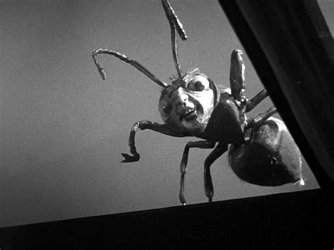 13: OUTER LIMITS: The Zanti Misfits / Daystar Productions - 1963