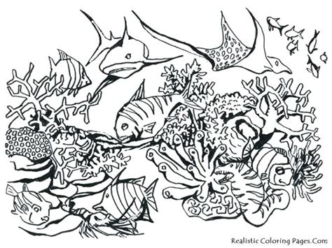 Animal Habitat Coloring Pages at GetColorings.com | Free printable ...