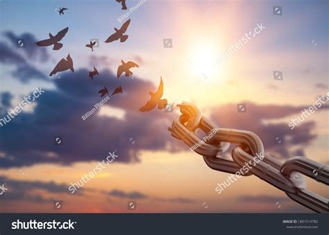 freedom images stock  vectors shutterstock