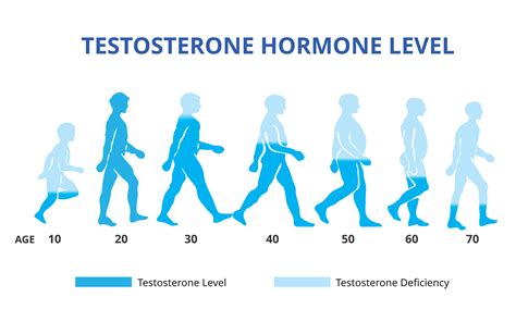 How Does Masturbation Impact Testosterone? - Bathmate Blog