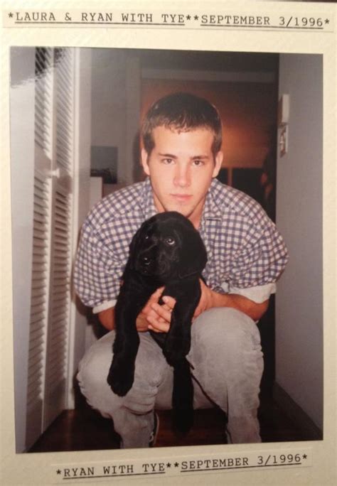 A Brief Timeline Of Ryan Reynolds With Dogs