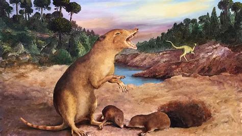 Primeiro Animal Da Terra - Primeiro Mamifero Da Terra
