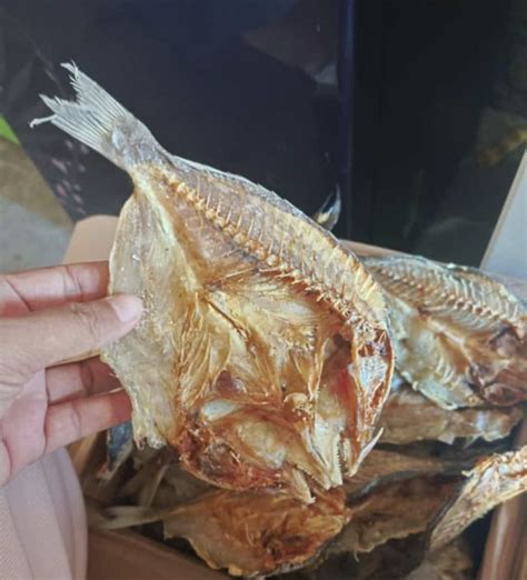 ikan kering wikipangan