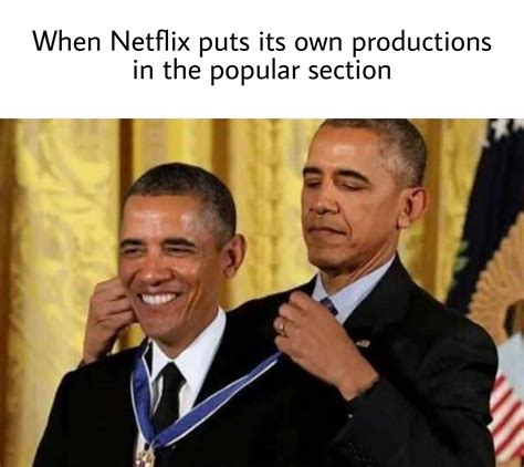Most Netflix movies aren't that good. : r/memes