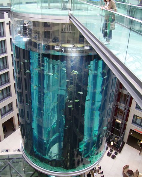 AquaDom: подробное описание, адрес, фото, отзывы