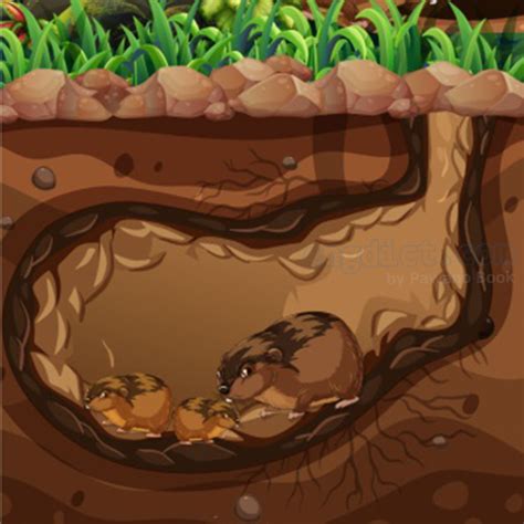 bottom (บอทเทิม) แปลว่าอะไร? ดูความหมาย ภาพประกอบ ตัวอย่างประโยค ...