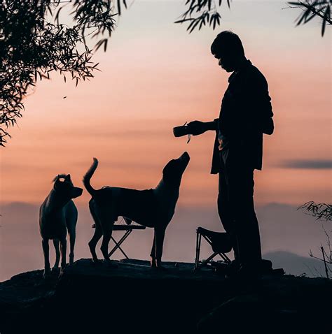 Eckersell obituaries provide a touching look at local life stories 11