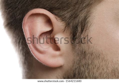 mans ear images stock  vectors shutterstock