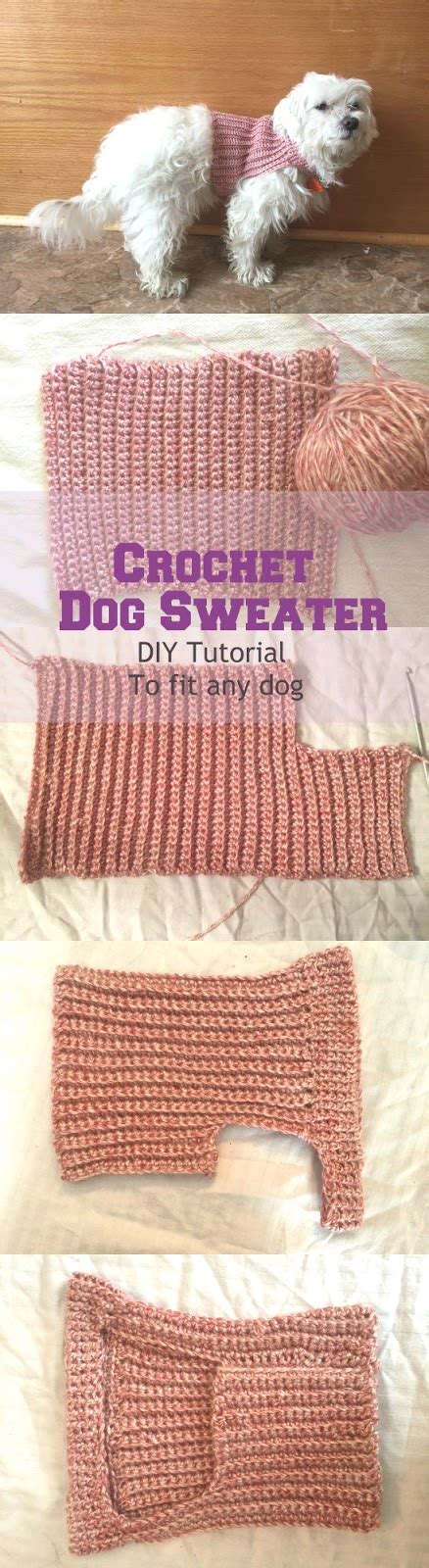 Messy, Beautiful, Fun: DIY Crochet Dog Sweater