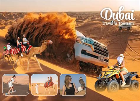 morning desert safari tours dubai  dubai travel tourism