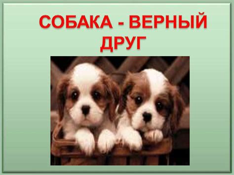 Собака - верный друг - презентация онлайн