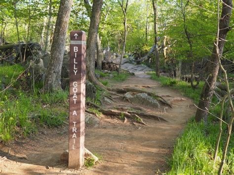 Top Hiking Trails along the C&O Canal – C&O Canal Trust