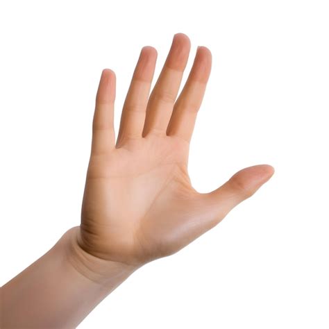 hand   number    premium photo