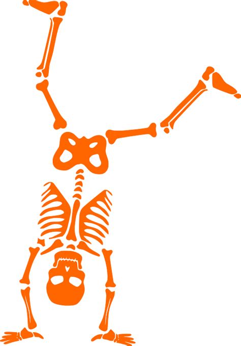 Halloween skeleton clipart. Free download transparent .PNG | Creazilla