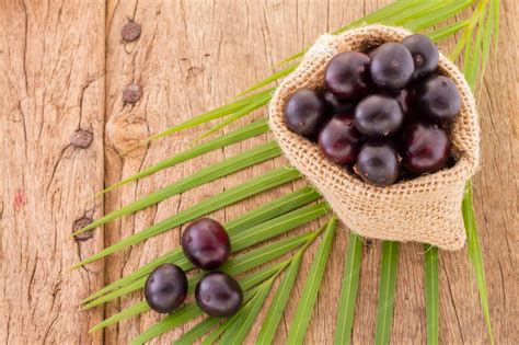 Açaí Fruta Origem - Frutos de açaí de origem amazônica são atribuídos a muitas propriedades ...