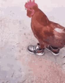 Chicken Running Meme GIFs | Tenor