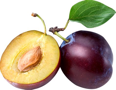 Plum PNG image