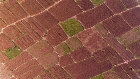 Microsoft HD Windows 11 Stock Aerial Farm Shot Brown Purple Tone Fields