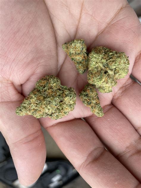 Greenlight natural: Eagle Scout : r/CultoftheFranklin