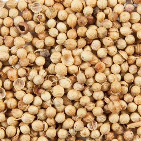 Organic Coriander Seed Whole - Splendor Garden