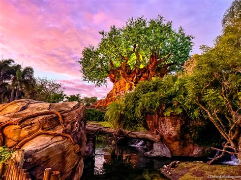 Disney World Quietly Confirmed Price Increases Coming in 2026 | the