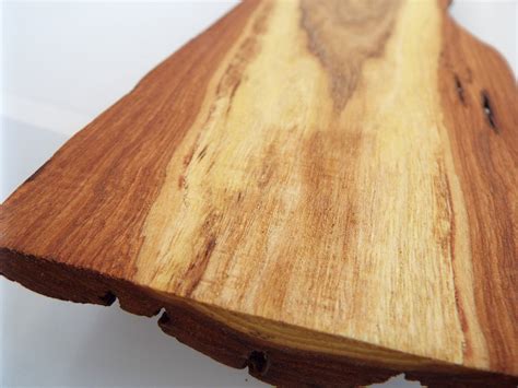 acacia tree wood 2