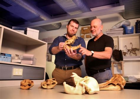 Researchers discover where all modern mammals originated from