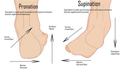 Foot Posture Basics - Sports Medicine Information