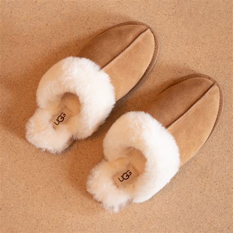 How to Wash Ugg Blanket: Ultimate Cleaning Guide