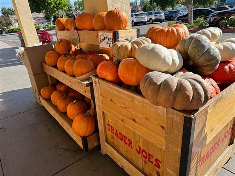 This Dayforce Trader Joe's Mistake Could Be Costing You Thousands Image 9